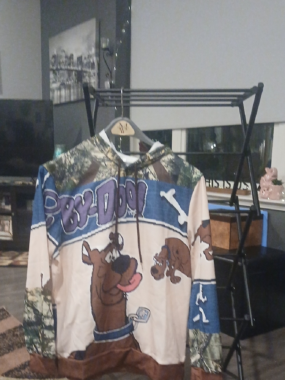 Scooby-Doo Graphic Pullover Hoodie - Brown, Blue, Cream